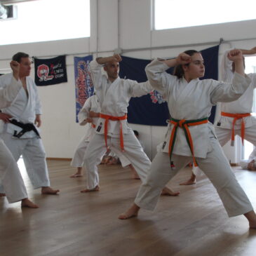 karate tradizionale : in Trecate46 stage sul programma d’esame per il passaggio di cintura