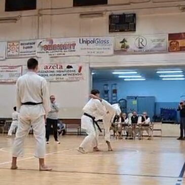 Stage Regionale ed esami Fikta a Vercelli: Successi e Prove di Alto Livello per Karate Alfieri