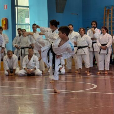 Corso di aggiornamento CSAIn: formazione e ispirazione per gli insegnanti di Karate con i Maestri Campari e Figuccio